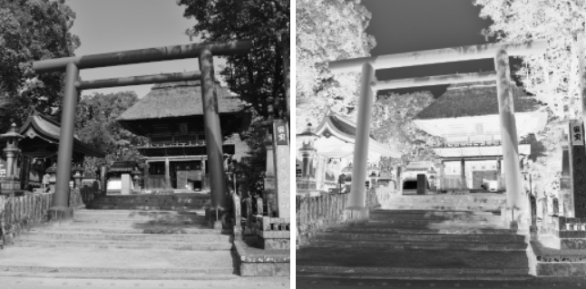 Dua gambar: gambar yang di kanan adalah inversi dari gambar yang di kiri